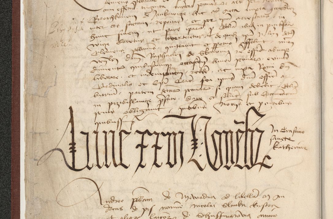 Zdjęcie nr 46 dla obiektu archiwalnego: [Acta actorum officialia coram Raphaele de Skawina]