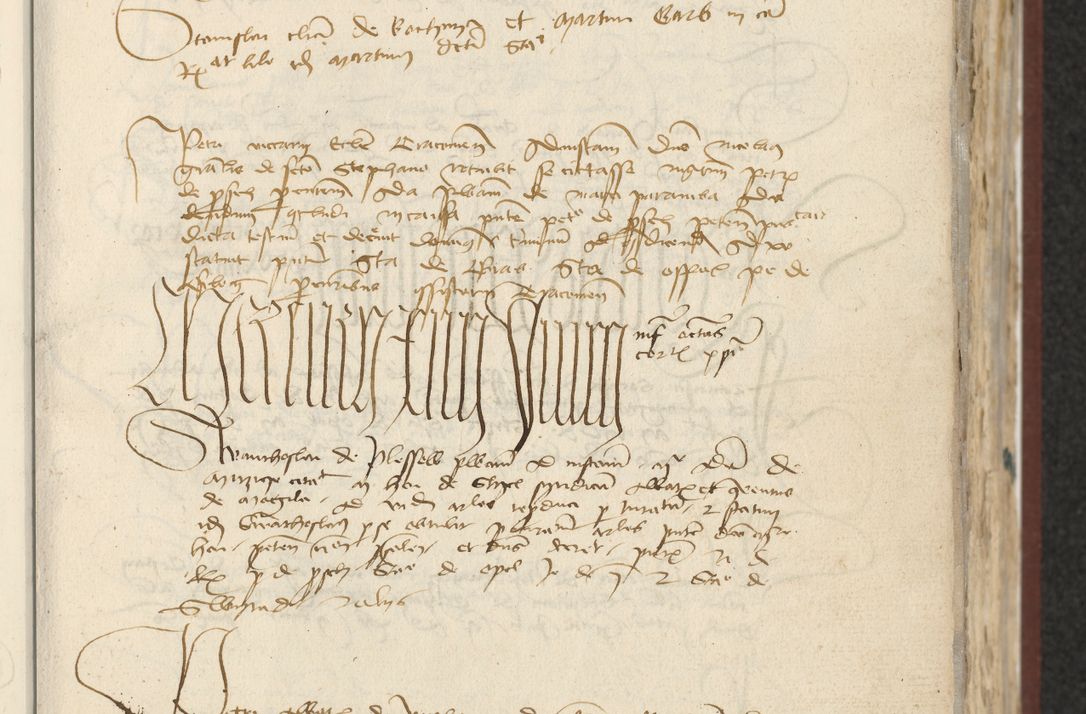 Zdjęcie nr 31 dla obiektu archiwalnego: [Acta actorum officialia coram Raphaele de Skawina]