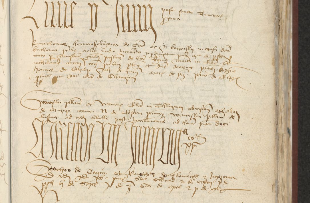 Zdjęcie nr 25 dla obiektu archiwalnego: [Acta actorum officialia coram Raphaele de Skawina]