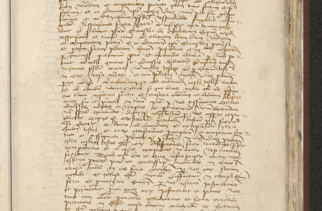 Zdjęcie nr 27 dla obiektu archiwalnego: [Acta actorum officialia coram Raphaele de Skawina]