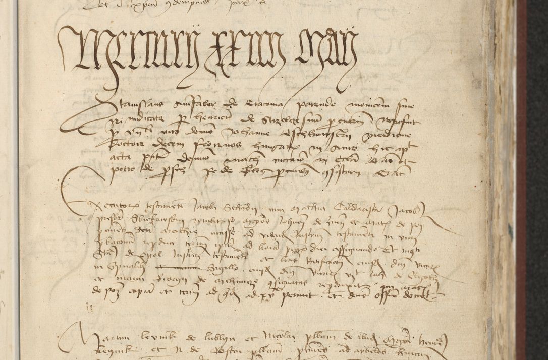 Zdjęcie nr 19 dla obiektu archiwalnego: [Acta actorum officialia coram Raphaele de Skawina]