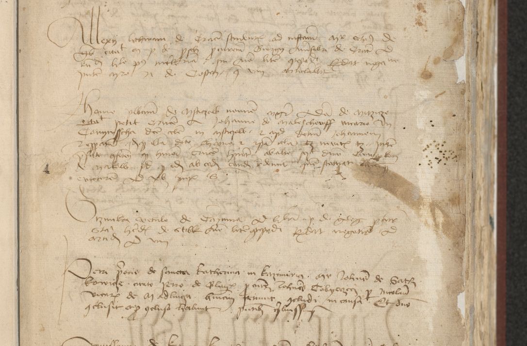 Zdjęcie nr 17 dla obiektu archiwalnego: [Acta actorum officialia coram Raphaele de Skawina]