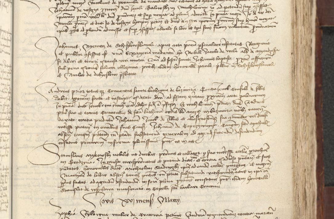 Zdjęcie nr 199 dla obiektu archiwalnego: [Acta actorum vicarialia coram Johanne de Slupcza]