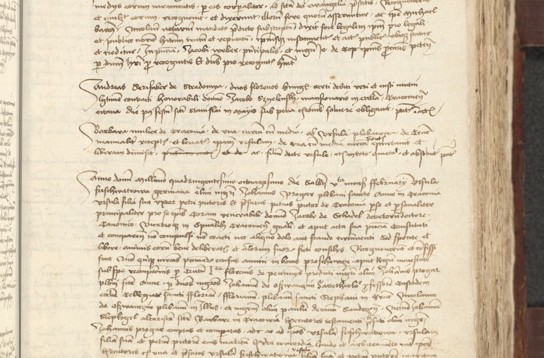 Zdjęcie nr 191 dla obiektu archiwalnego: [Acta actorum vicarialia coram Johanne de Slupcza]