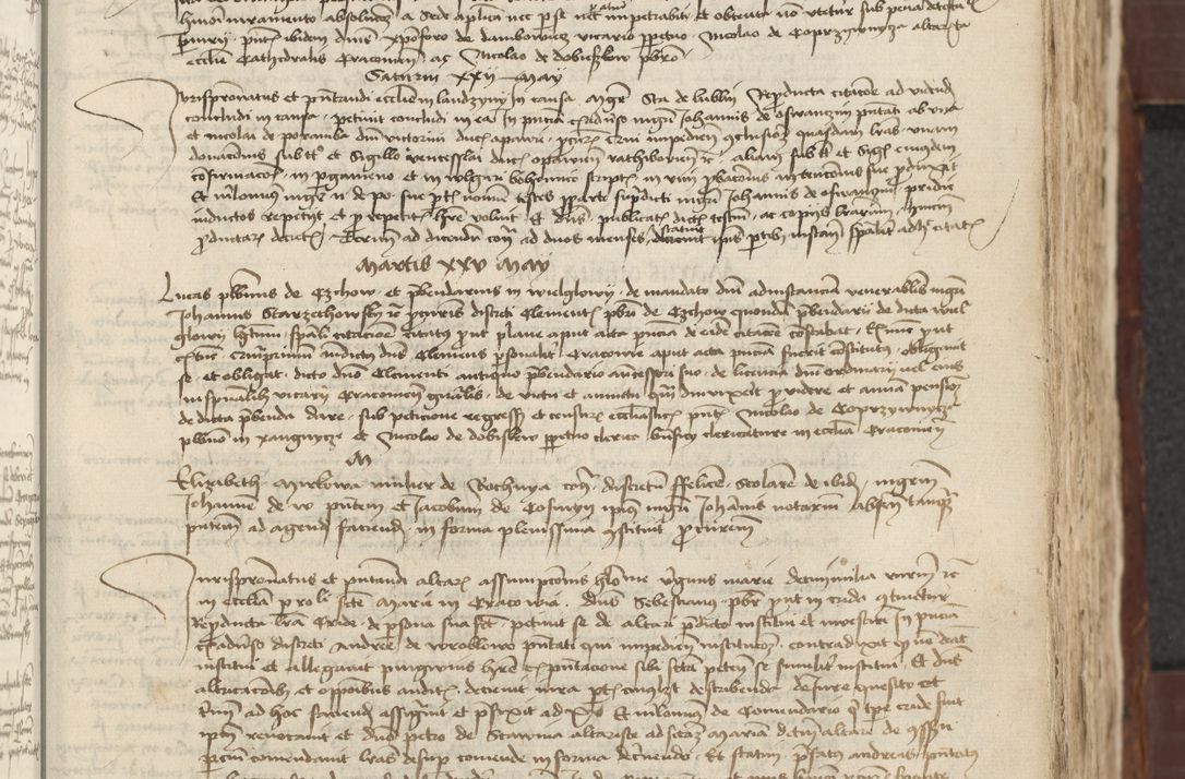 Zdjęcie nr 171 dla obiektu archiwalnego: [Acta actorum vicarialia coram Johanne de Slupcza]