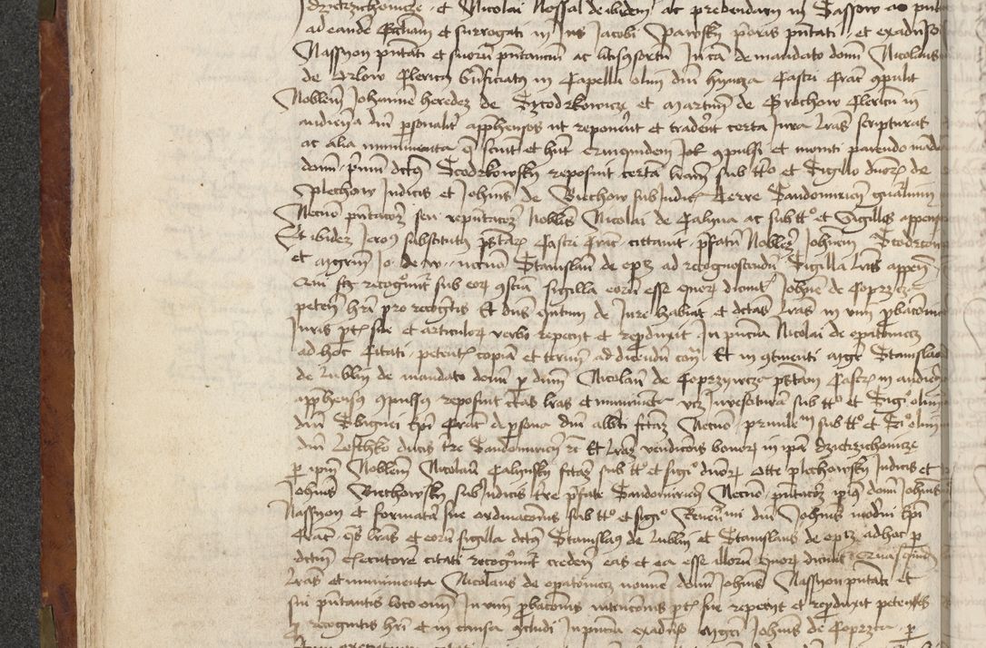 Zdjęcie nr 100 dla obiektu archiwalnego: [Acta actorum vicarialia coram Johanne de Slupcza]