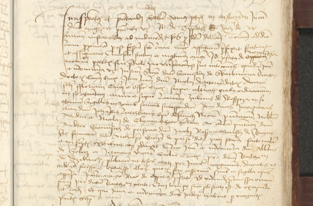 Zdjęcie nr 13 dla obiektu archiwalnego: [Acta actorum vicarialia coram Johanne de Slupcza]