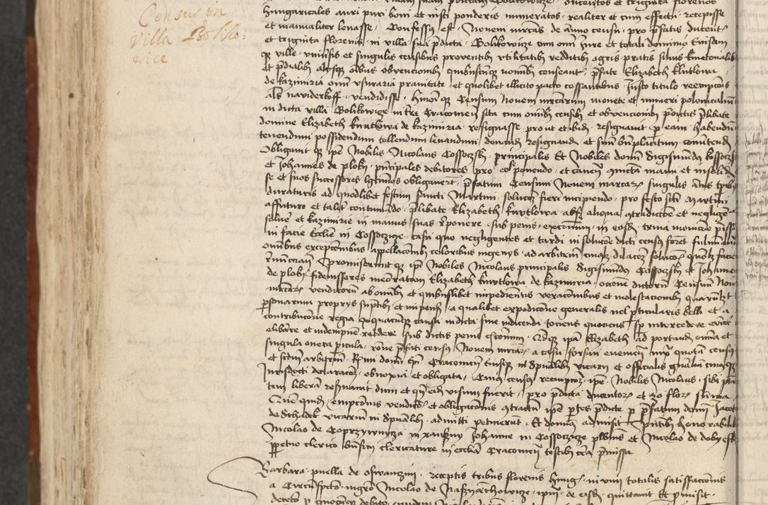 Zdjęcie nr 358 dla obiektu archiwalnego: [Acta actorum vicarialia coram Johanne de Slupcza]