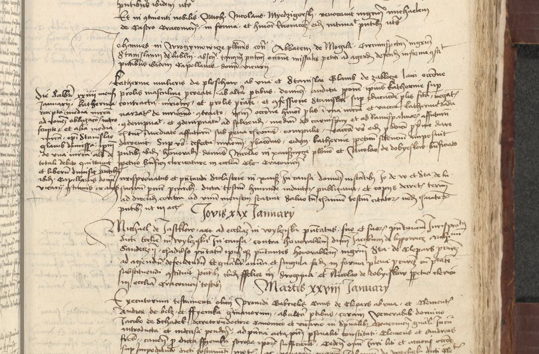 Zdjęcie nr 359 dla obiektu archiwalnego: [Acta actorum vicarialia coram Johanne de Slupcza]