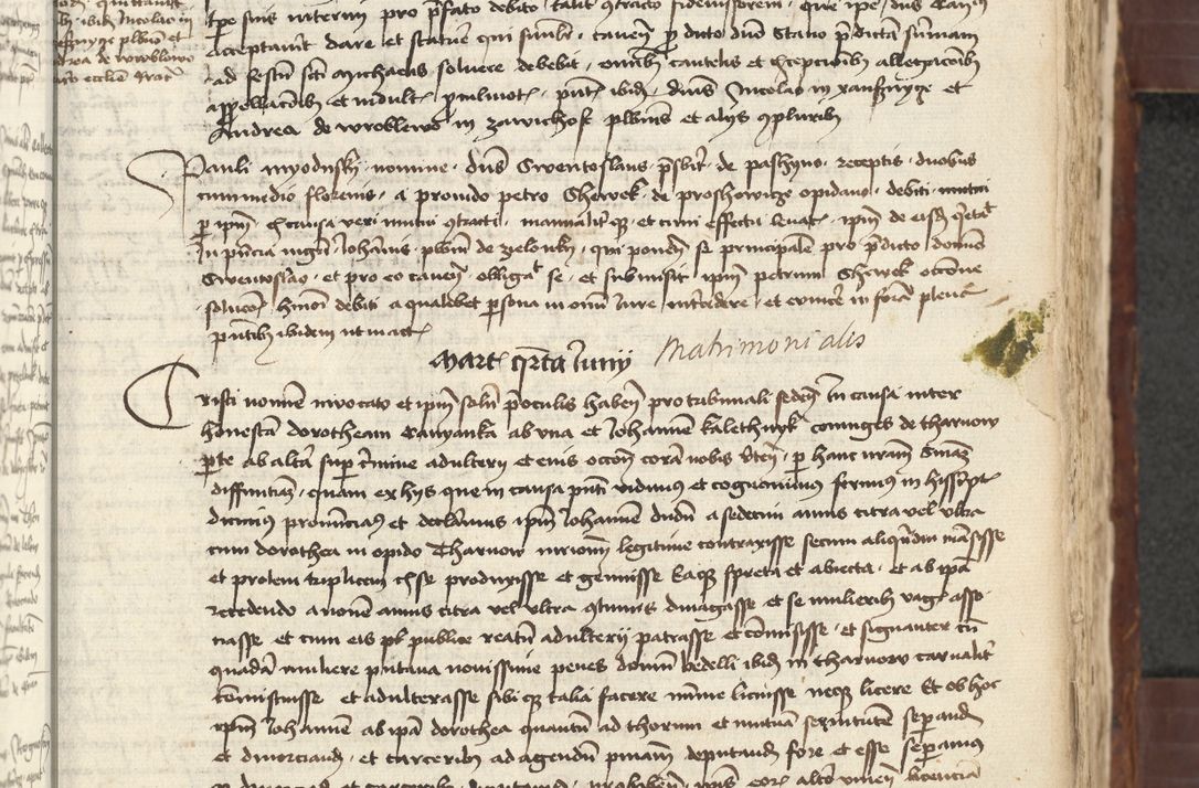 Zdjęcie nr 309 dla obiektu archiwalnego: [Acta actorum vicarialia coram Johanne de Slupcza]