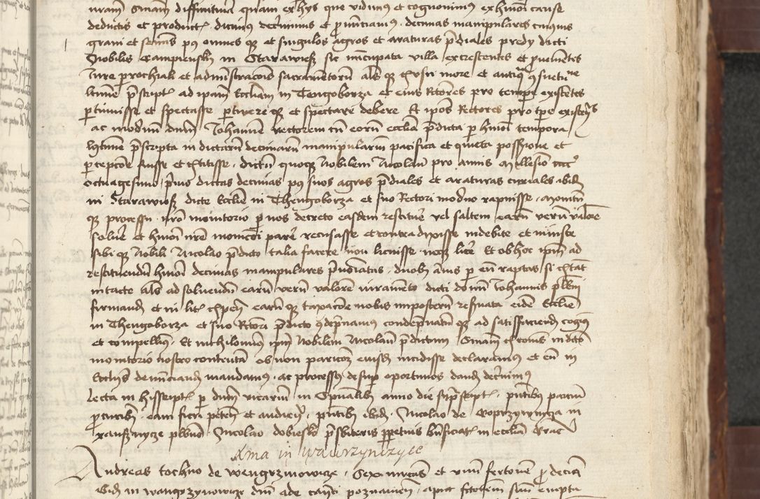 Zdjęcie nr 313 dla obiektu archiwalnego: [Acta actorum vicarialia coram Johanne de Slupcza]