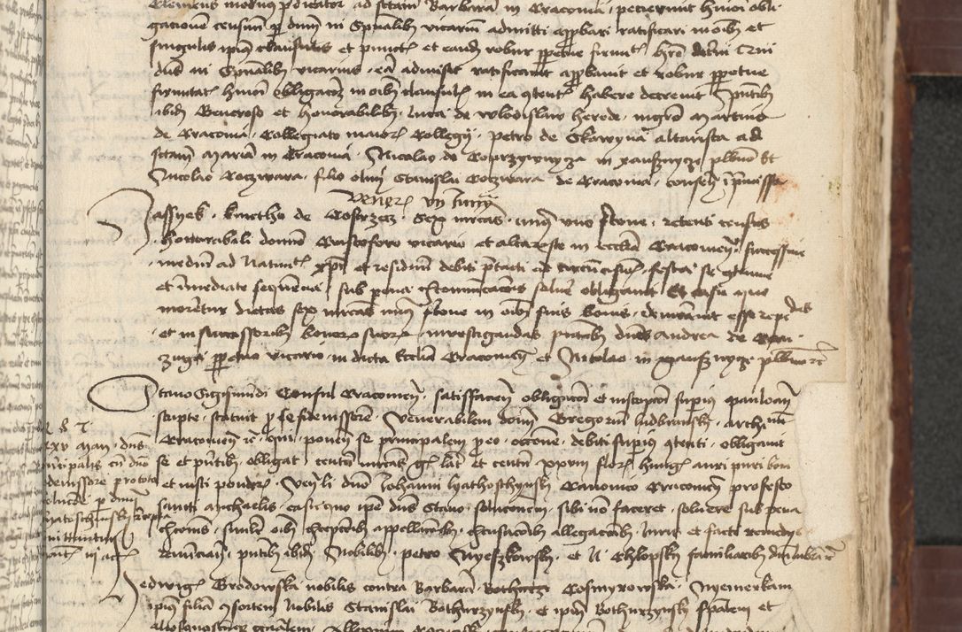 Zdjęcie nr 311 dla obiektu archiwalnego: [Acta actorum vicarialia coram Johanne de Slupcza]