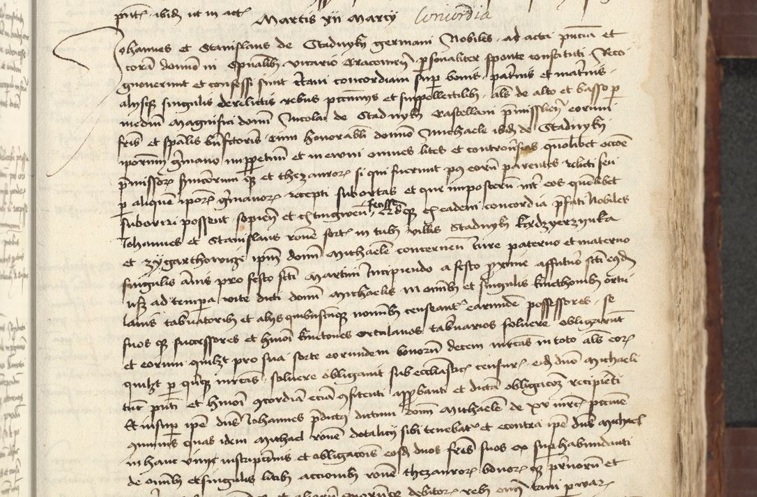 Zdjęcie nr 297 dla obiektu archiwalnego: [Acta actorum vicarialia coram Johanne de Slupcza]