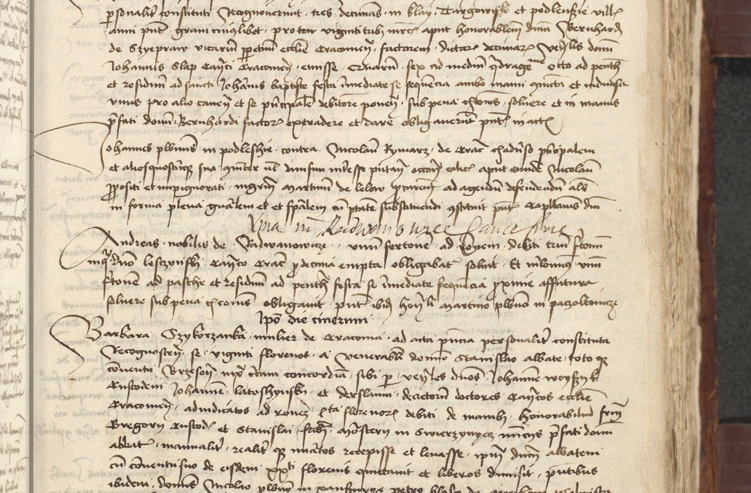 Zdjęcie nr 293 dla obiektu archiwalnego: [Acta actorum vicarialia coram Johanne de Slupcza]