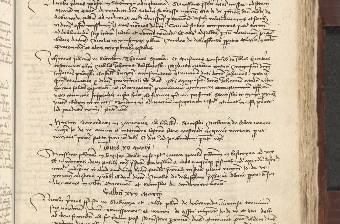 Zdjęcie nr 245 dla obiektu archiwalnego: [Acta actorum vicarialia coram Johanne de Slupcza]