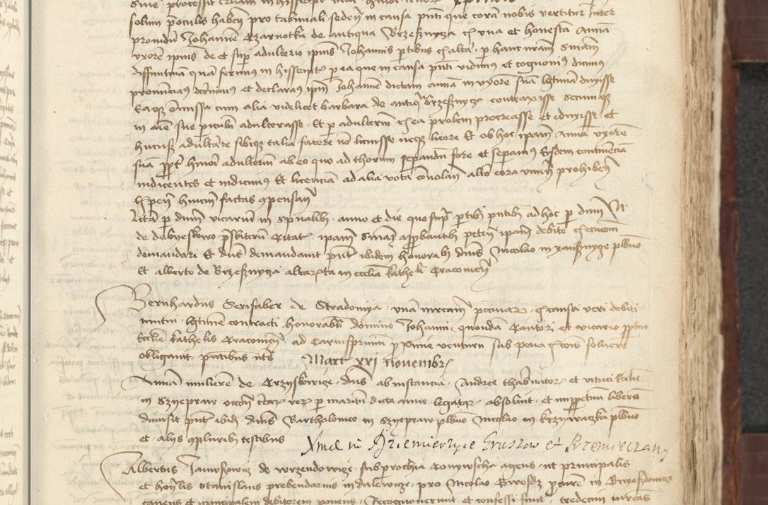 Zdjęcie nr 233 dla obiektu archiwalnego: [Acta actorum vicarialia coram Johanne de Slupcza]