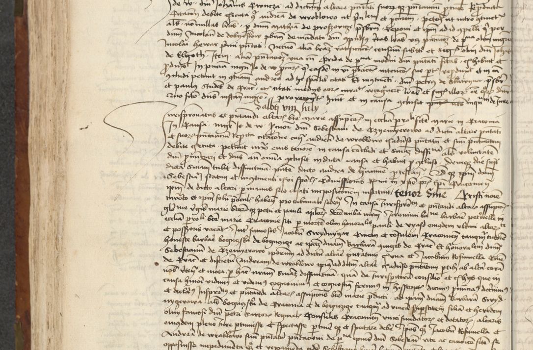 Zdjęcie nr 216 dla obiektu archiwalnego: [Acta actorum vicarialia coram Johanne de Slupcza]