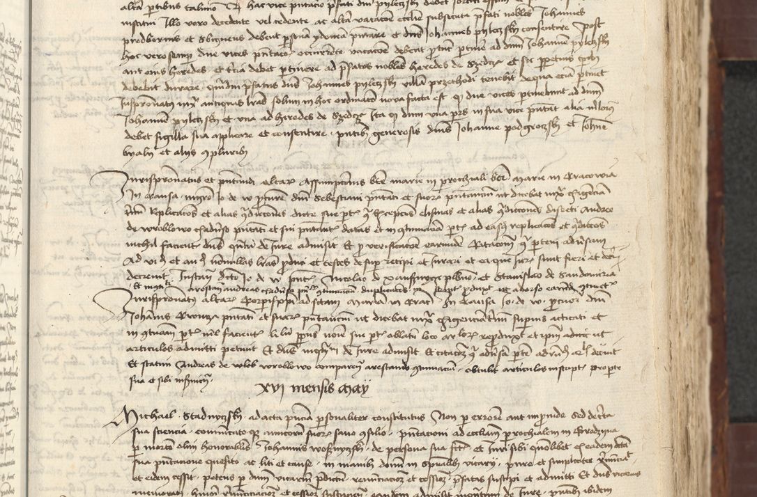 Zdjęcie nr 207 dla obiektu archiwalnego: [Acta actorum vicarialia coram Johanne de Slupcza]