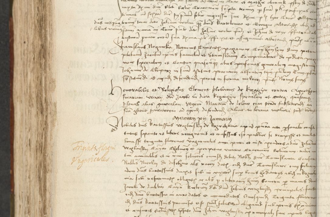 Zdjęcie nr 530 dla obiektu archiwalnego: [Acta actorum vicarialia coram Johanne de Slupcza]