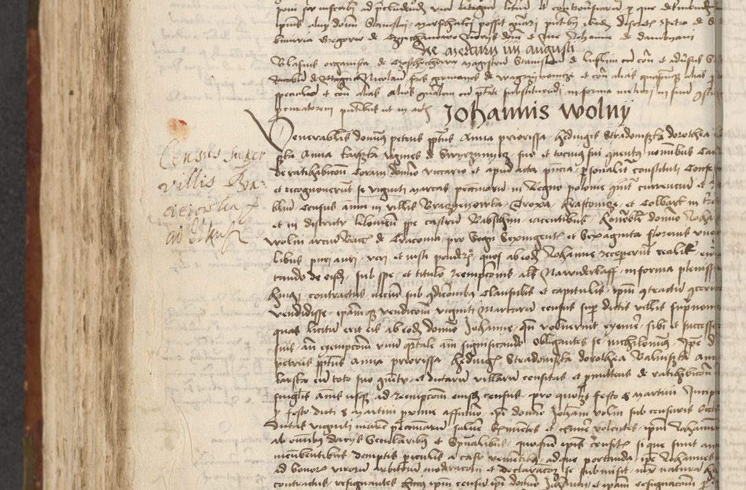 Zdjęcie nr 482 dla obiektu archiwalnego: [Acta actorum vicarialia coram Johanne de Slupcza]