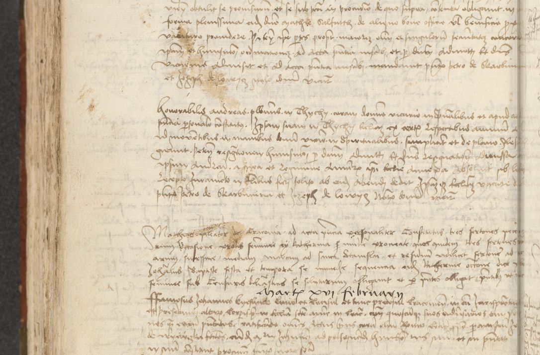 Zdjęcie nr 450 dla obiektu archiwalnego: [Acta actorum vicarialia coram Johanne de Slupcza]