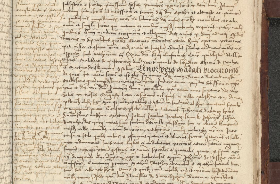 Zdjęcie nr 663 dla obiektu archiwalnego: [Acta actorum vicarialia coram Johanne de Slupcza]