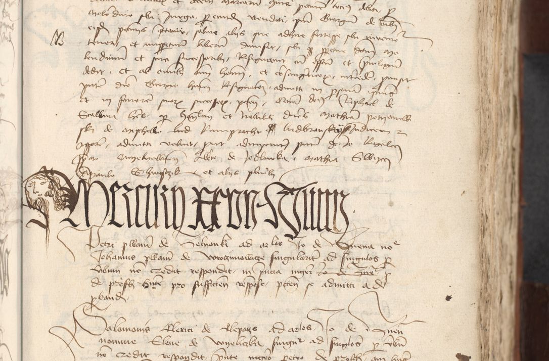 Zdjęcie nr 399 dla obiektu archiwalnego: [Acta actorum officialia coram Raphaele de Scawina]