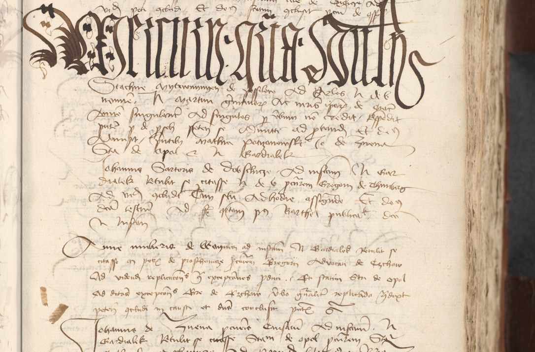 Zdjęcie nr 401 dla obiektu archiwalnego: [Acta actorum officialia coram Raphaele de Scawina]