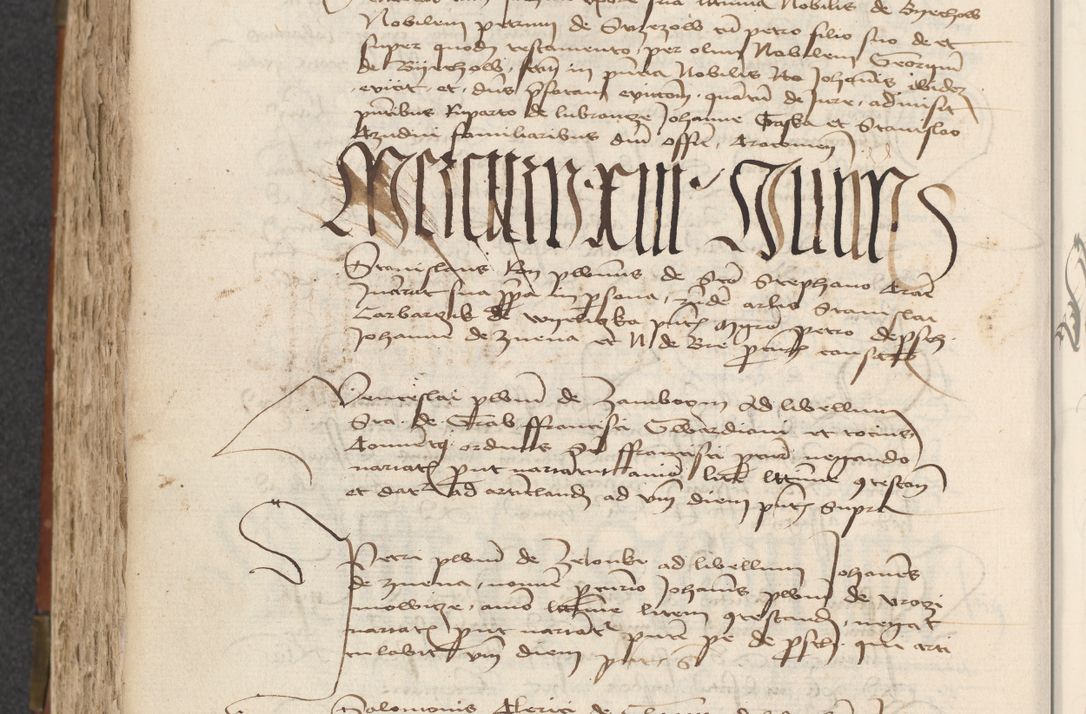 Zdjęcie nr 396 dla obiektu archiwalnego: [Acta actorum officialia coram Raphaele de Scawina]