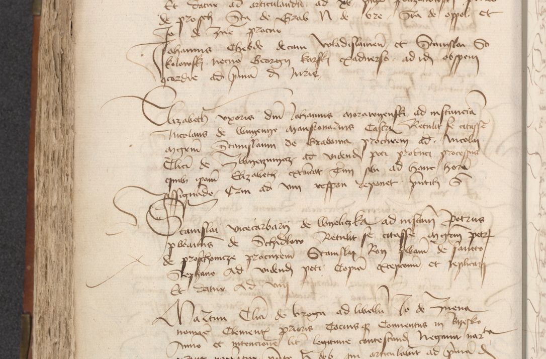 Zdjęcie nr 352 dla obiektu archiwalnego: [Acta actorum officialia coram Raphaele de Scawina]