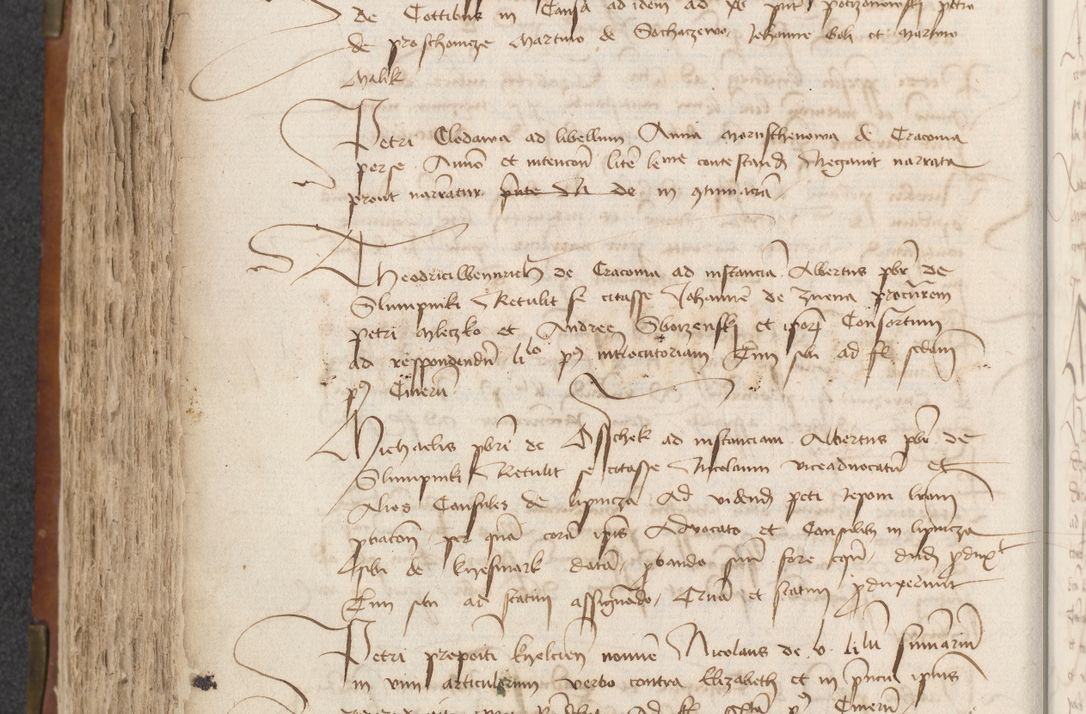 Zdjęcie nr 348 dla obiektu archiwalnego: [Acta actorum officialia coram Raphaele de Scawina]