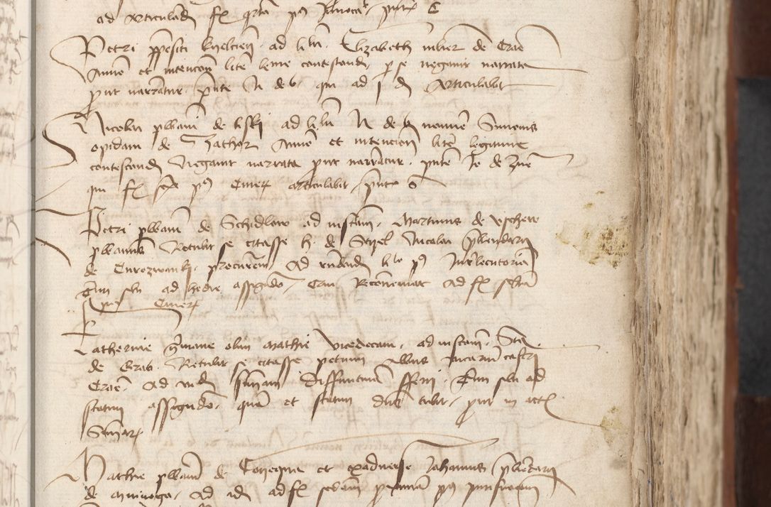 Zdjęcie nr 345 dla obiektu archiwalnego: [Acta actorum officialia coram Raphaele de Scawina]