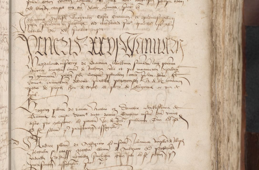 Zdjęcie nr 343 dla obiektu archiwalnego: [Acta actorum officialia coram Raphaele de Scawina]