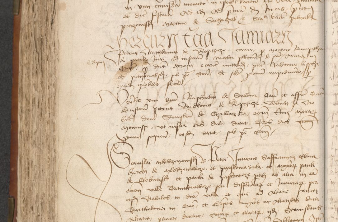 Zdjęcie nr 338 dla obiektu archiwalnego: [Acta actorum officialia coram Raphaele de Scawina]