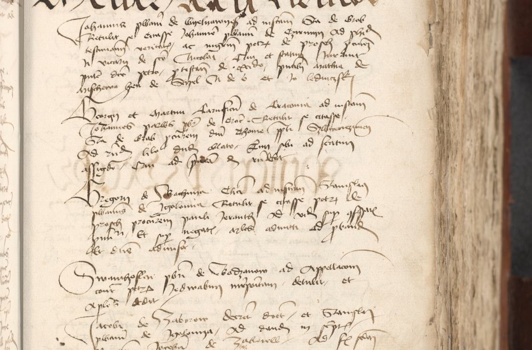 Zdjęcie nr 327 dla obiektu archiwalnego: [Acta actorum officialia coram Raphaele de Scawina]