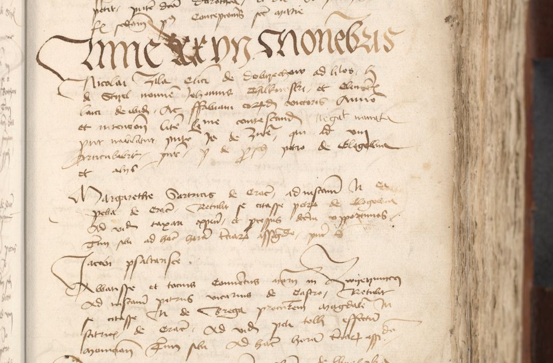 Zdjęcie nr 325 dla obiektu archiwalnego: [Acta actorum officialia coram Raphaele de Scawina]