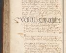 Zdjęcie nr 310 dla obiektu archiwalnego: [Acta actorum officialia coram Raphaele de Scawina]