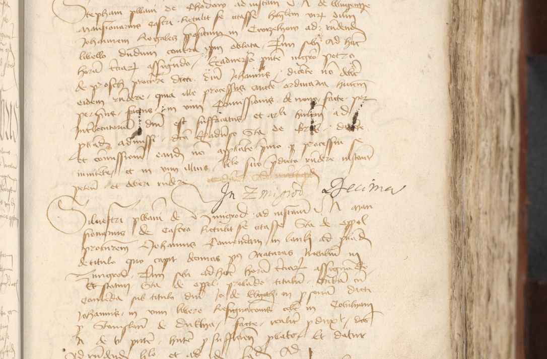 Zdjęcie nr 309 dla obiektu archiwalnego: [Acta actorum officialia coram Raphaele de Scawina]