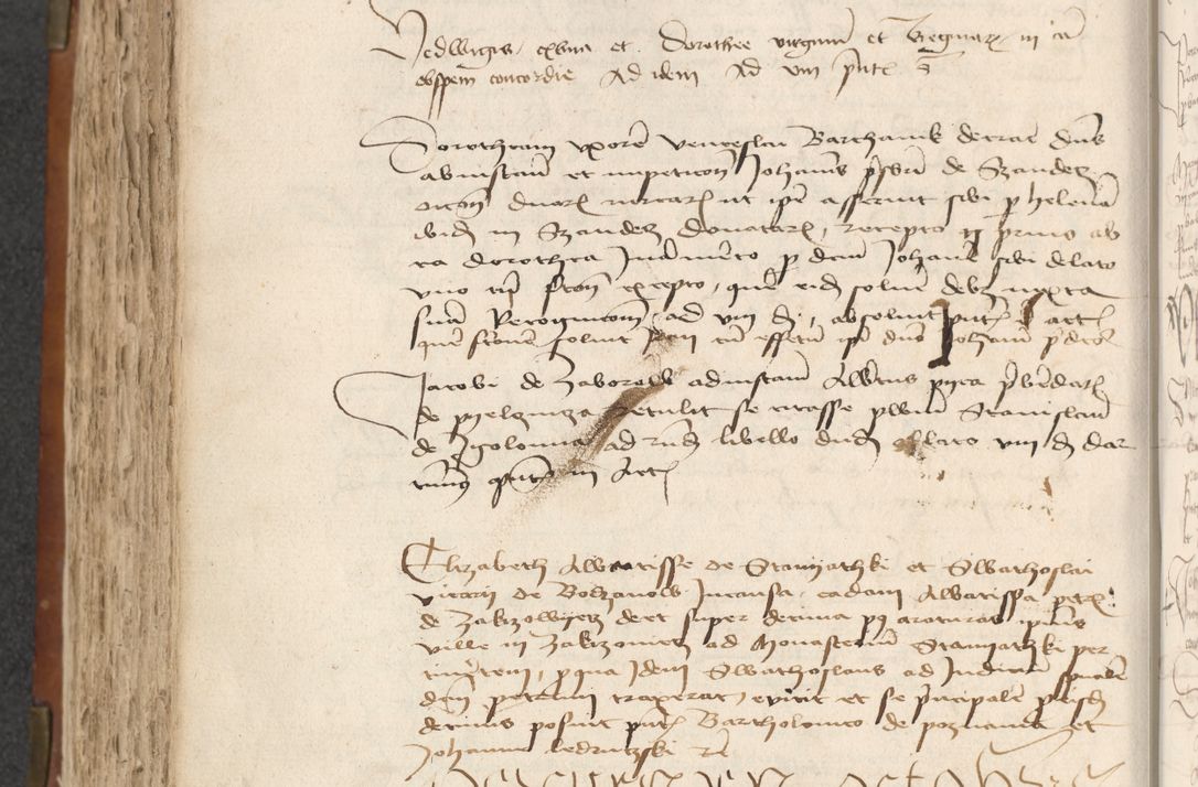 Zdjęcie nr 302 dla obiektu archiwalnego: [Acta actorum officialia coram Raphaele de Scawina]