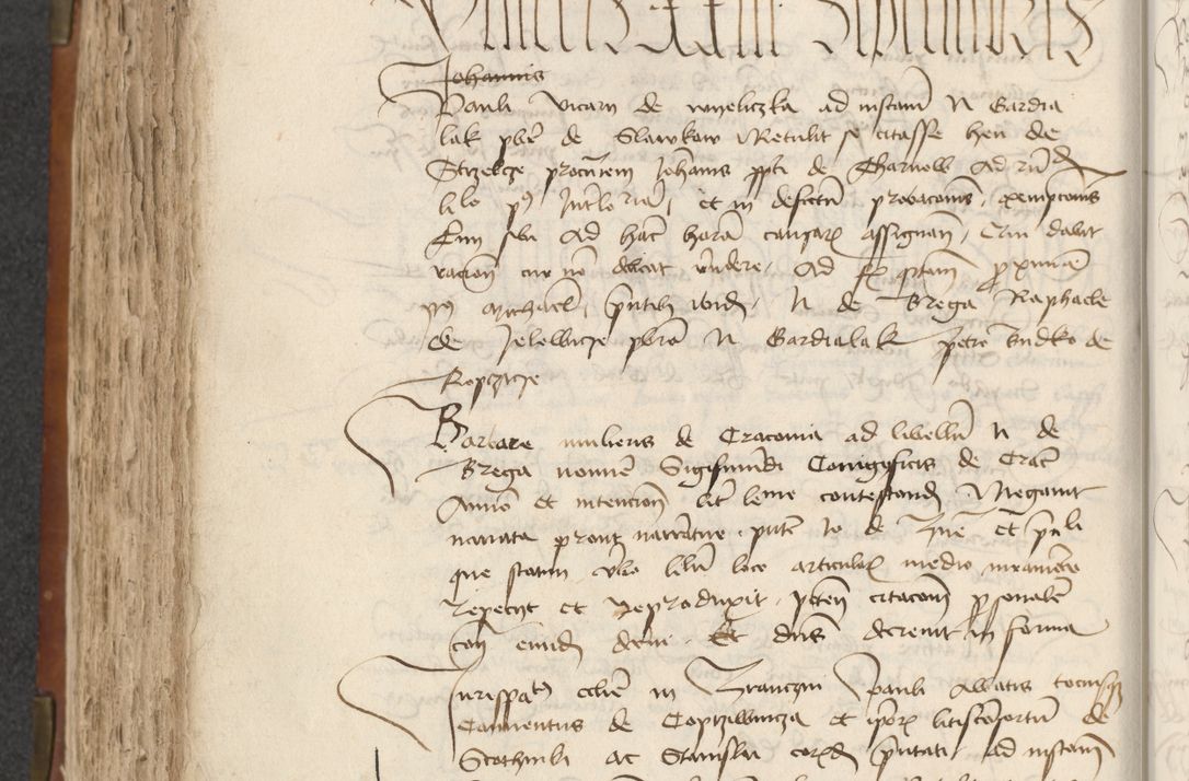 Zdjęcie nr 294 dla obiektu archiwalnego: [Acta actorum officialia coram Raphaele de Scawina]