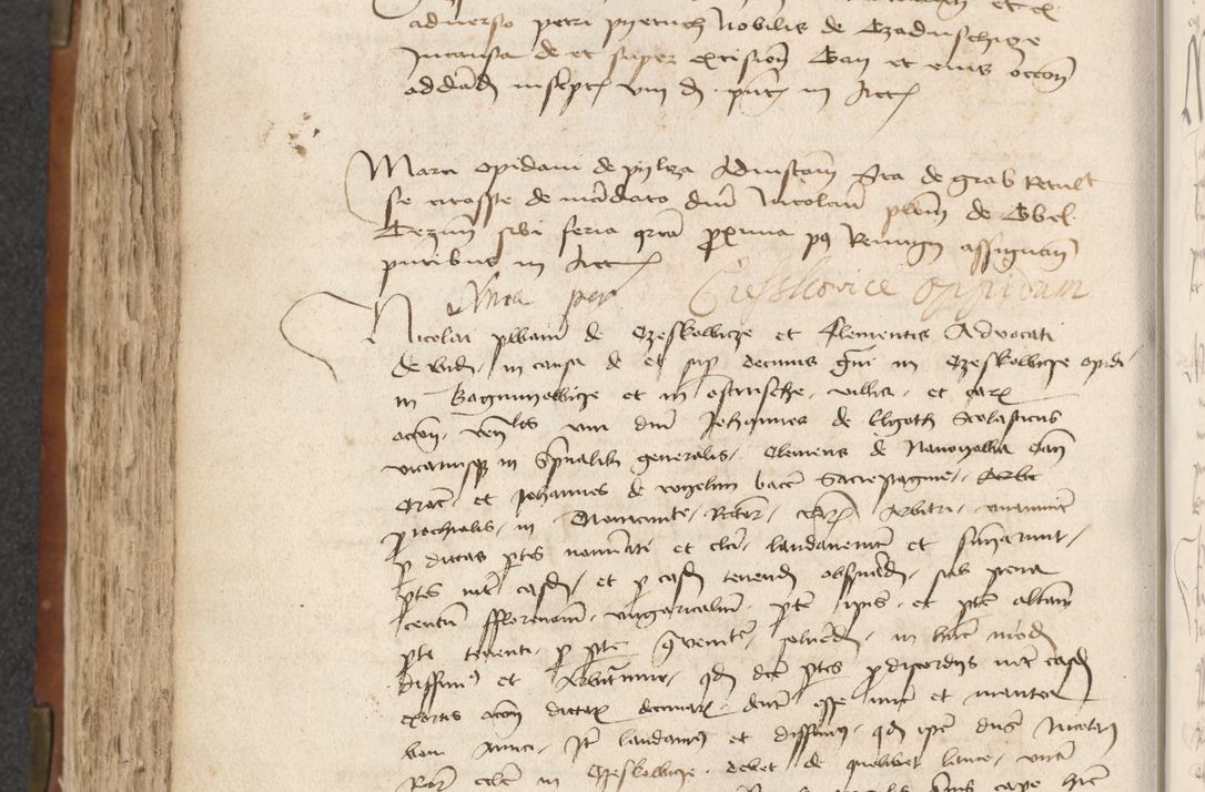 Zdjęcie nr 298 dla obiektu archiwalnego: [Acta actorum officialia coram Raphaele de Scawina]