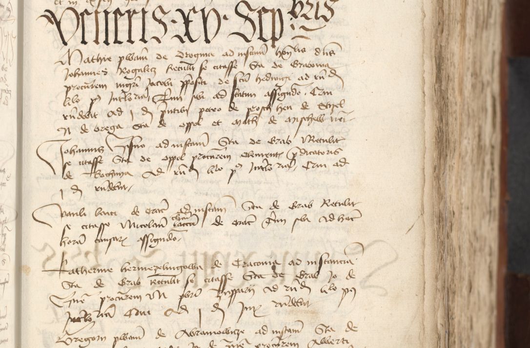 Zdjęcie nr 287 dla obiektu archiwalnego: [Acta actorum officialia coram Raphaele de Scawina]