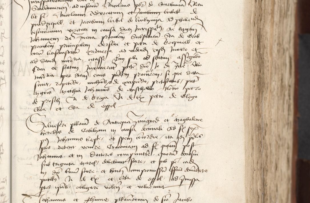 Zdjęcie nr 241 dla obiektu archiwalnego: [Acta actorum officialia coram Raphaele de Scawina]