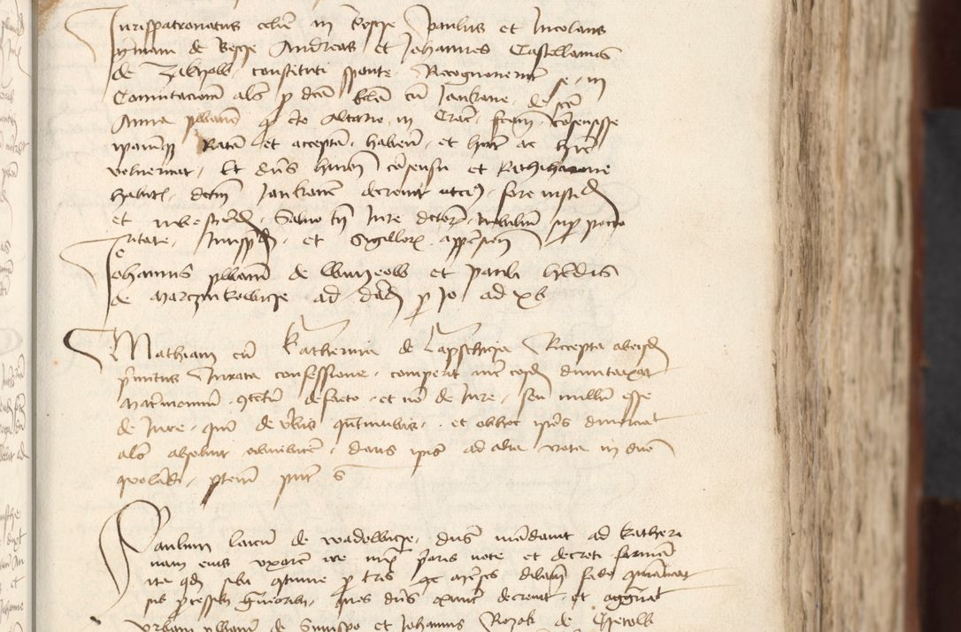 Zdjęcie nr 229 dla obiektu archiwalnego: [Acta actorum officialia coram Raphaele de Scawina]