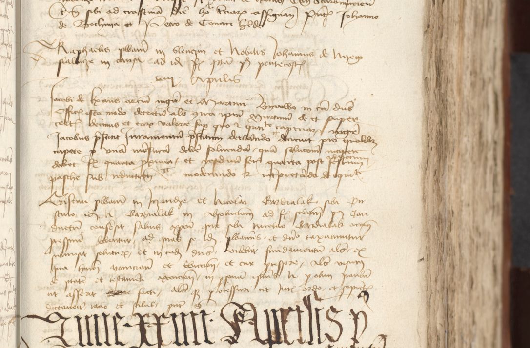 Zdjęcie nr 217 dla obiektu archiwalnego: [Acta actorum officialia coram Raphaele de Scawina]