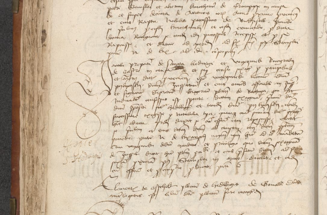 Zdjęcie nr 212 dla obiektu archiwalnego: [Acta actorum officialia coram Raphaele de Scawina]