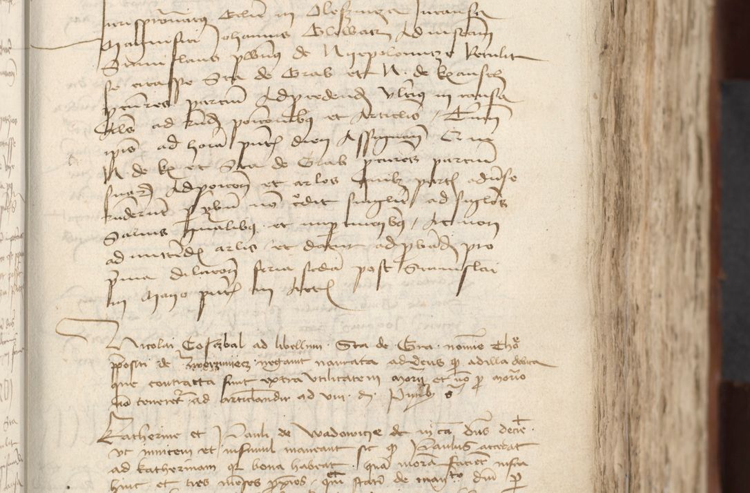 Zdjęcie nr 201 dla obiektu archiwalnego: [Acta actorum officialia coram Raphaele de Scawina]