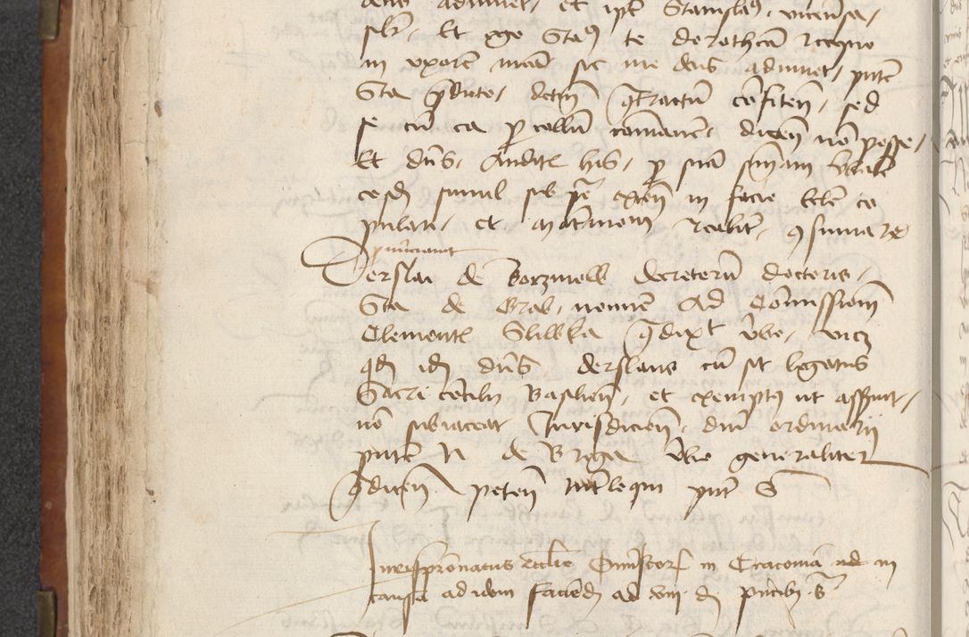 Zdjęcie nr 190 dla obiektu archiwalnego: [Acta actorum officialia coram Raphaele de Scawina]