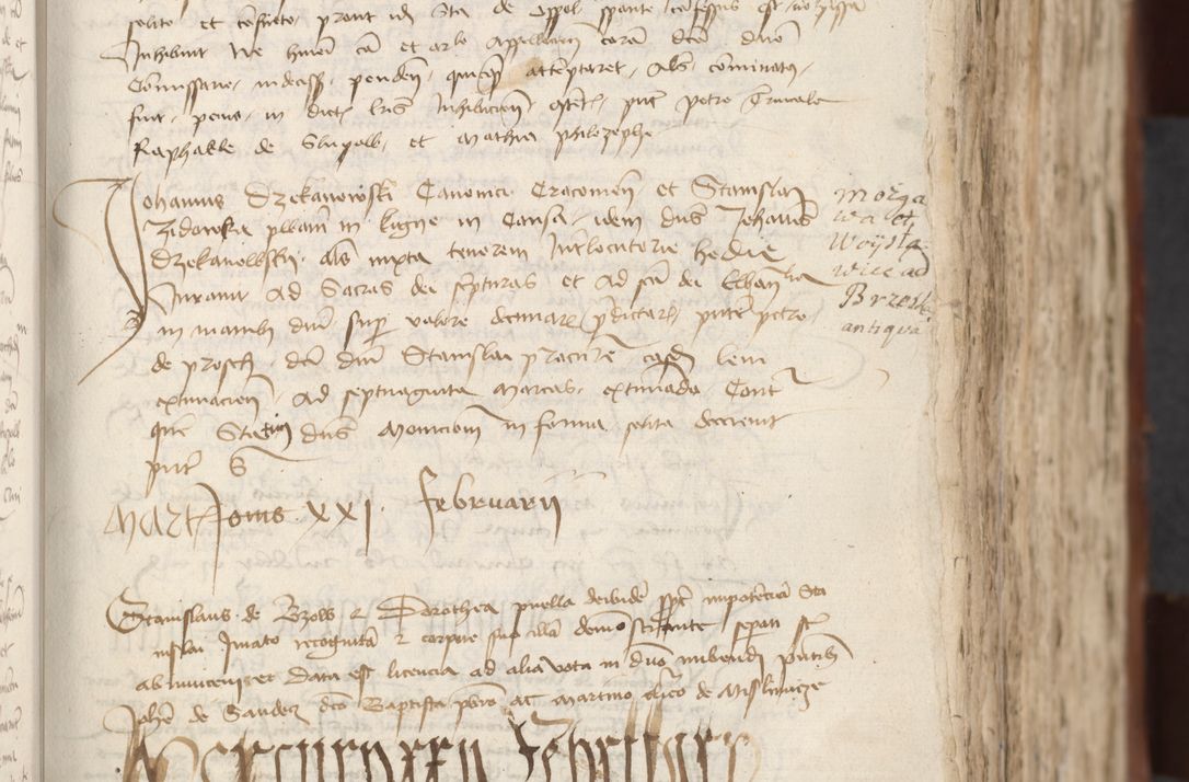Zdjęcie nr 185 dla obiektu archiwalnego: [Acta actorum officialia coram Raphaele de Scawina]