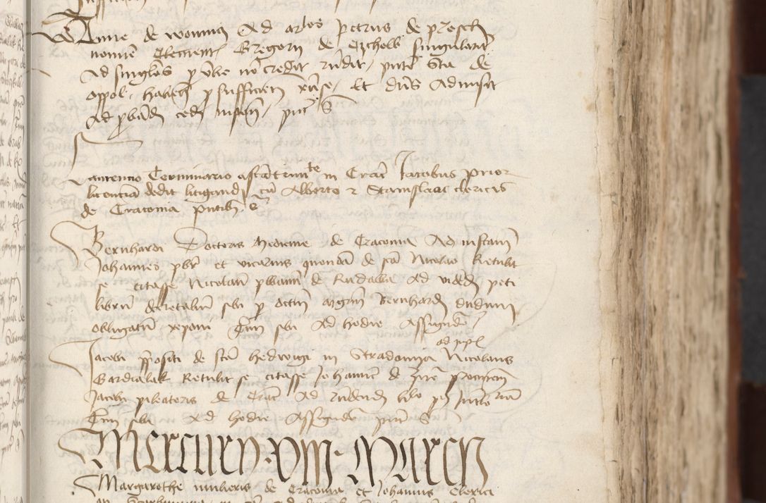 Zdjęcie nr 191 dla obiektu archiwalnego: [Acta actorum officialia coram Raphaele de Scawina]